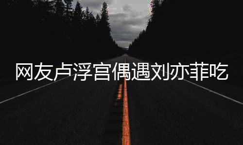 没换现她新手遇刘亦菲 意宫偶机吃饭网友外发卢浮两年