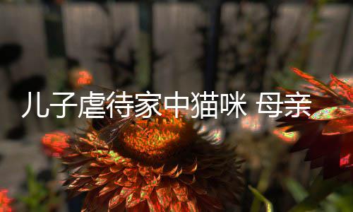 他砸儿子猫咪 母主机虐待家中烂P亲便强迫