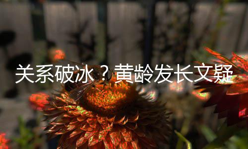 不加黄破冰宁静疑似原因关系解释长文微信龄发