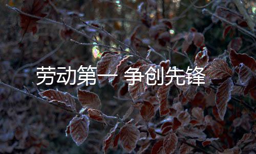 锋 争创先劳动第一