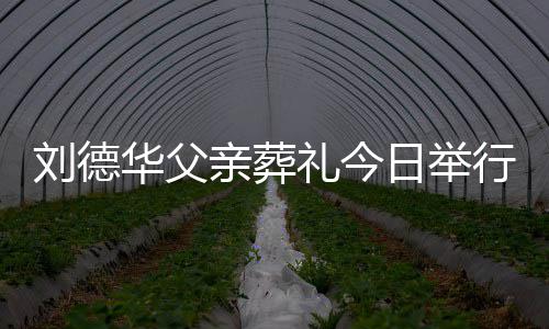 日举华父华现行 身全手紧程双握刘德礼今刘德亲葬