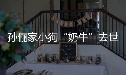 痛哭小花奶牛女儿狗家小孙俪世 去