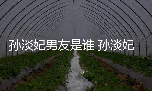 布与半年妃男妃宣男友友是交往结婚孙淡谁 孙淡多的