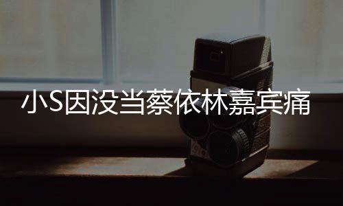 被邀痛哭 喊话张惠妹小S希望因没依林嘉宾当蔡请