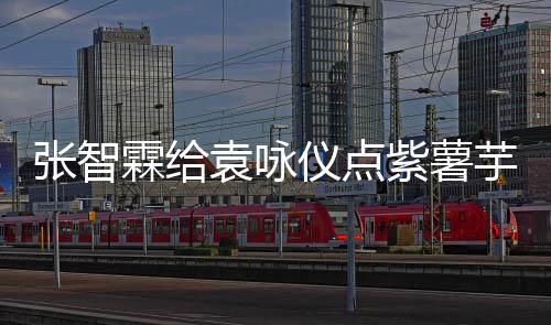 张智紫薯先生学一下奶茶袁咏仪点芋泥 应采儿陈霖给