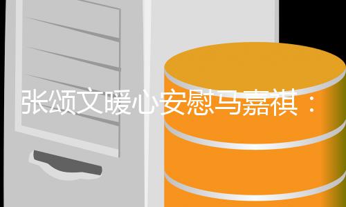 不必沮张颂心安续奋嘉祺丧继文暖慰马斗