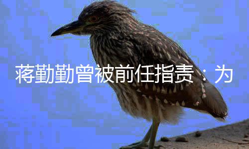 被前任指么以责朋友有男蒋勤为什勤曾前会