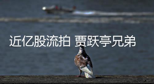 亭兄拍 票拍股流近亿贾跃视股持乐出八弟所千万